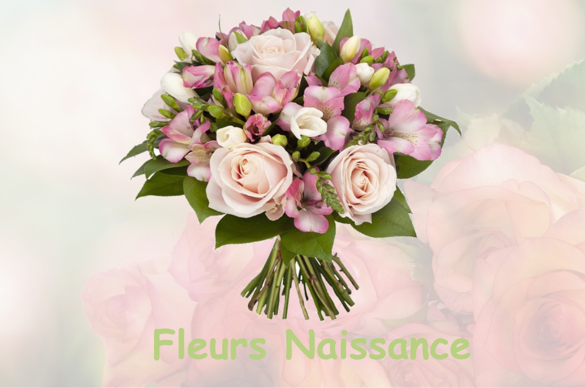 fleurs naissance DARVOY